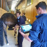 Flexion testing using the sensor-based system at the University of Glasgow's School of Veterinary Medicine.
