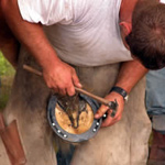 National Final Farriers Competition for 2013