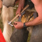 Farrier legend holds clinics, contest in Aust